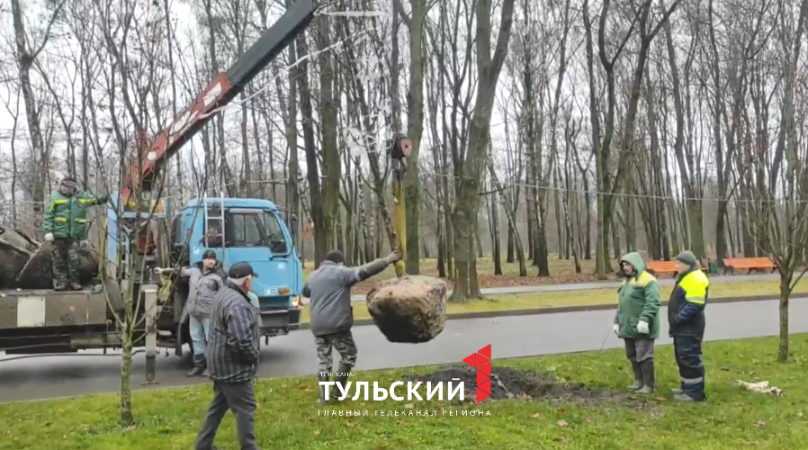 В Белоусовском парке Тулы высаживают новые деревья