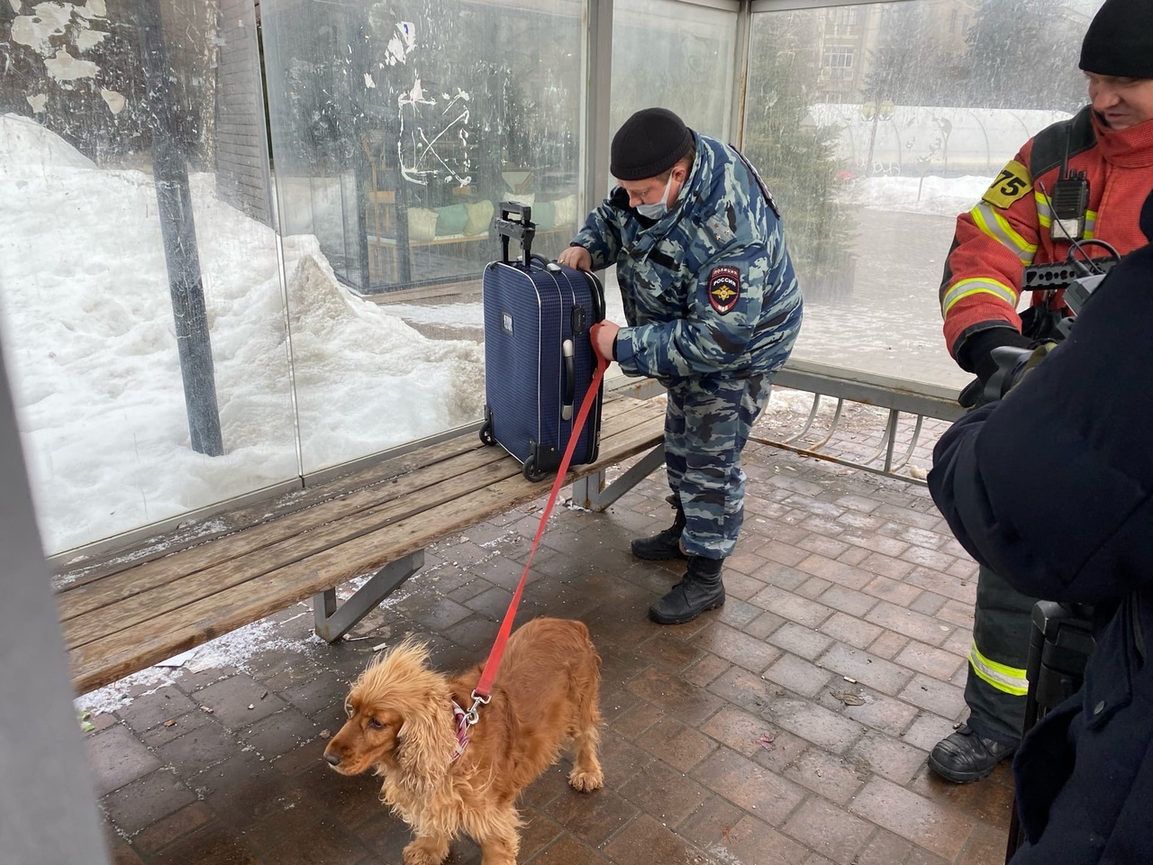 В Туле на проспекте Ленина у здания ТулГУ оцепили территорию из-за бесхозного предмета - Новости Тулы и области - 1tulatv