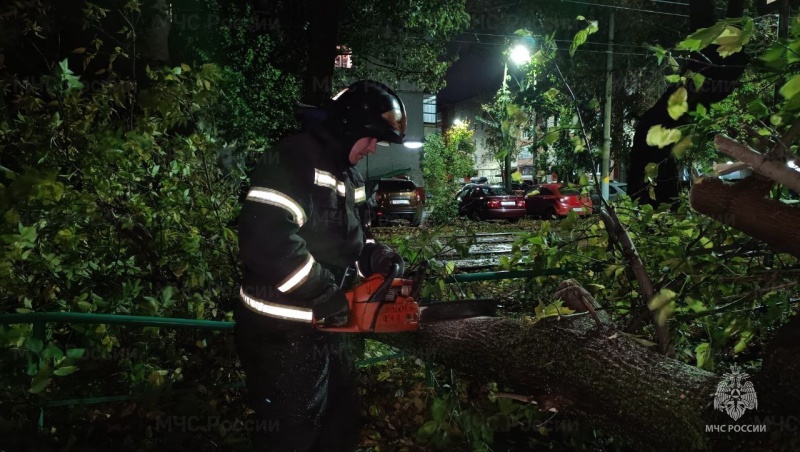 В Новомосковске на мужчину упало дерево