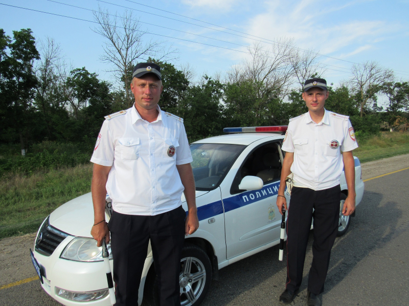В Ейске сотрудники Госавтоинспекции спасли на дороге маленькую тулячку