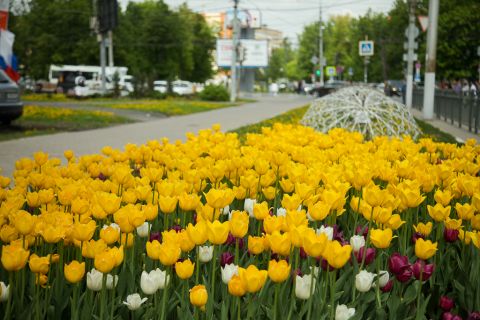 Тула весной фото