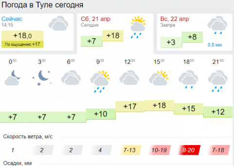 Погода тульский 7. Погода в Туле. Погода в Туле сегодня. Погода в Туле сейчас. Погода сегодня в Туле сейчас.