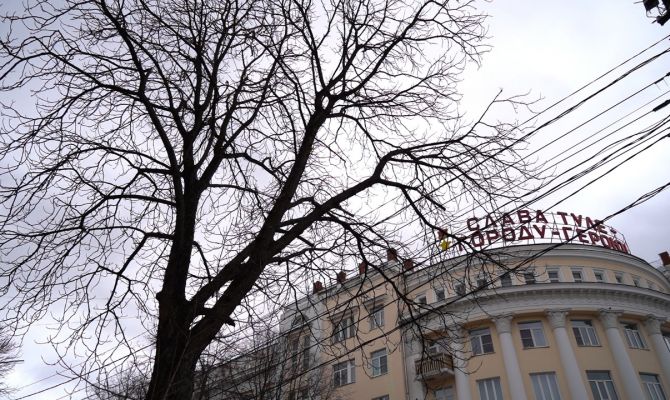 Ученые назвали основные причины гибели деревьев в Туле