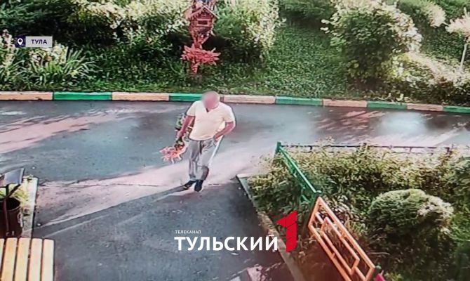Туляк обчистил клумбу в Заречье и попал на видео