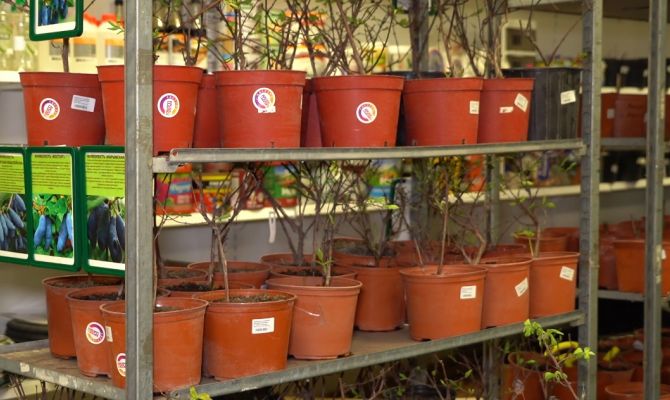 Без участка и опыта: туляки могут получить до 3 миллионов рублей на развитие своей фермы