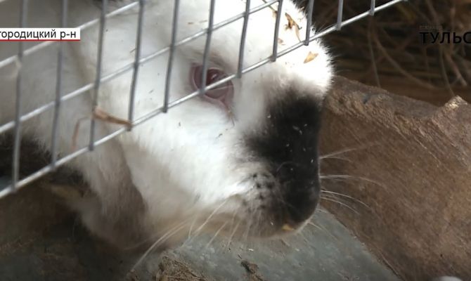 В Тульской области появится уникальная ферма с интенсивными природными технологиями