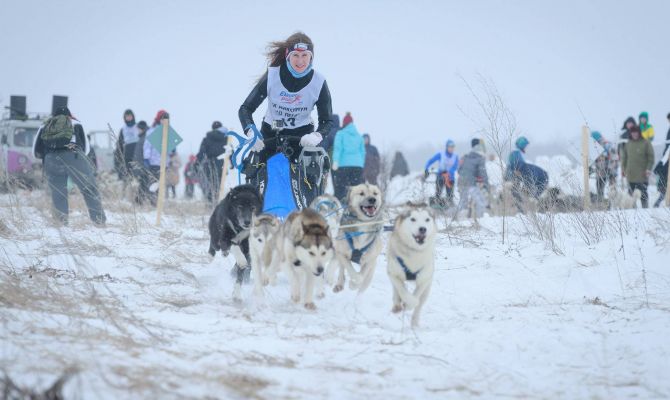 Хаски, лайки, маламуты: на Куликовом поле прошел "Большой тур"