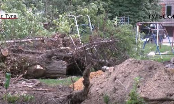 В тульском дворе деревья спиливают для строительства спортплощадки. РЕПОРТАЖ