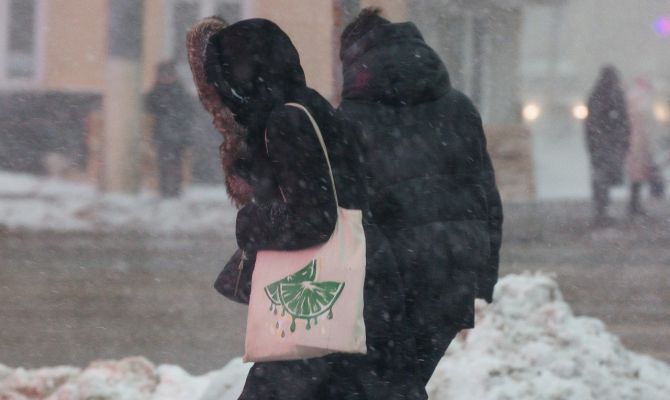 В ночь на 17 января в Тульской области пройдет мокрый снег