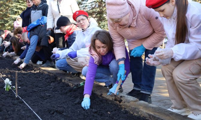 В Новомосковске высадили крокусы в память о жертвах теракта в «Крокус Сити Холле»