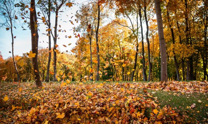 Сентябрь 2019 года побил погодный рекорд