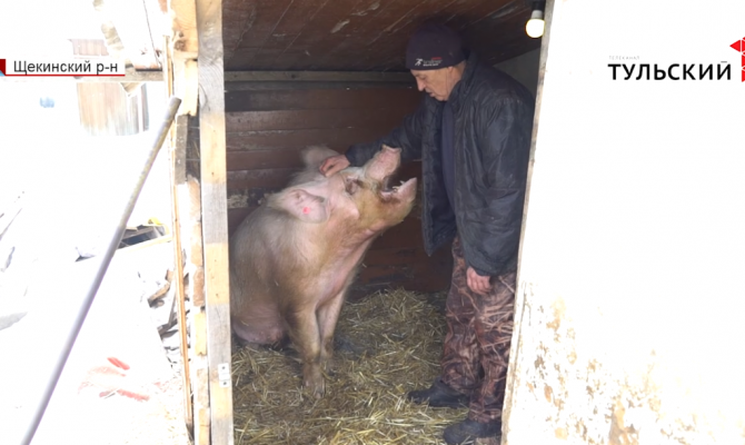 Агростартап: как государство поддерживает начинающих фермеров