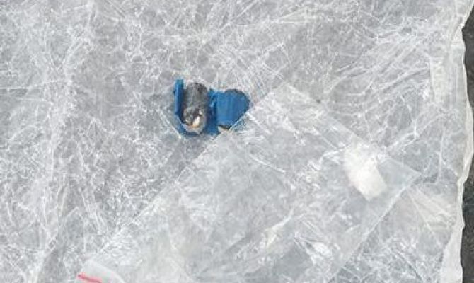 В колонию в Тульской области пытались передать наркотики