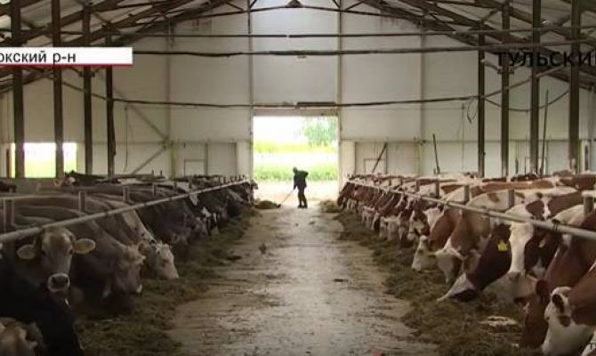 Фермер из Заокска поставляет продукцию в московские рестораны . РЕПОРТАЖ