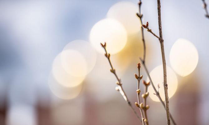 20 марта наступит Весеннее равноденствие