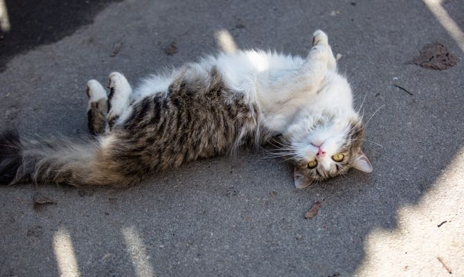 28 апреля в Тульской области пройдет без осадков