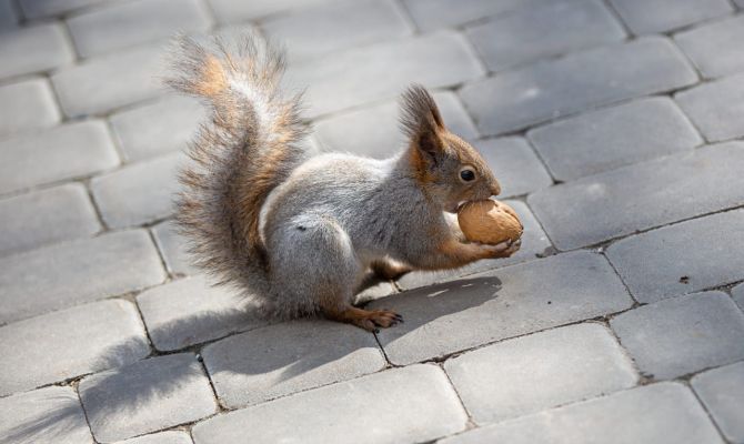 23 апреля в Тульской области воздух прогреется до +15 градусов