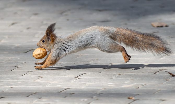 31 марта в Туле ожидается +7 градусов тепла