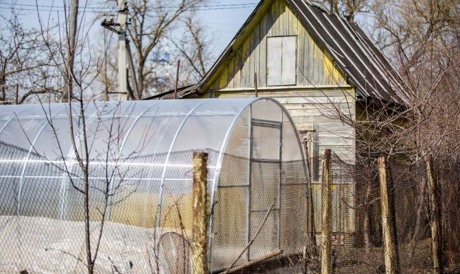 Тулякам напомнили о штрафах за сжигание листвы осенью