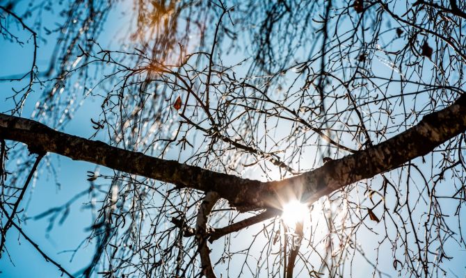 21 марта в Тульской области будет до +7 градусов