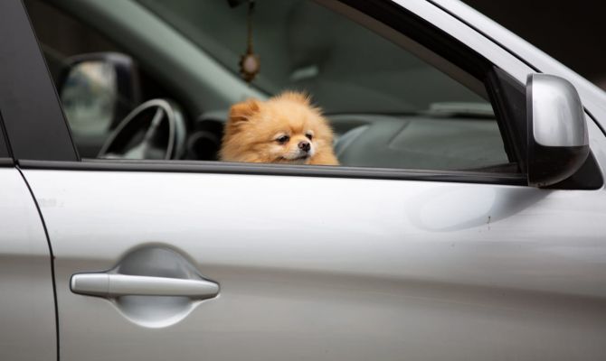 Туляков предупредили об опасном излучении, найденном в китайских автомобилях