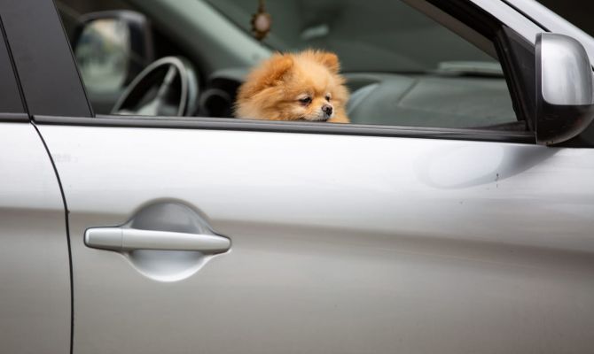 Многодетных туляков защитят от изъятия автомобиля