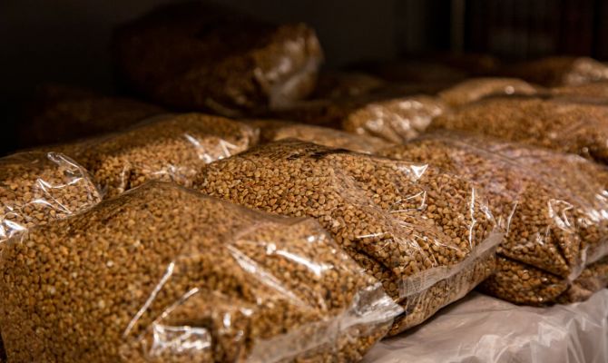 Стало известно, сколько гречихи собрали в Тульской области в 2023 году