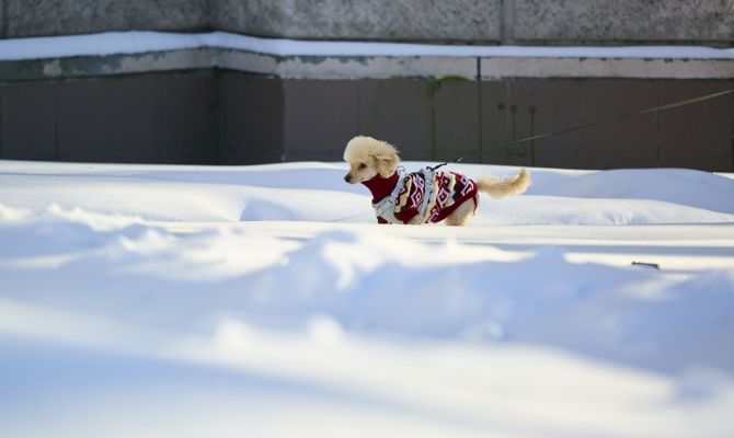 18 февраля в Туле обойдется без осадков