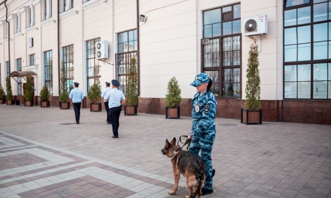 Сотрудников транспортной полиции «вооружат» электрошокерами 