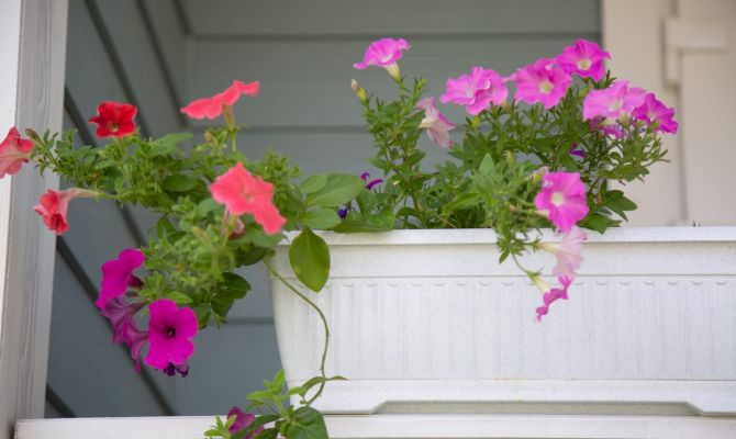 Туляков начнут штрафовать за цветы на балконе