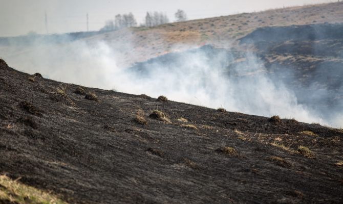 В Тульской области объявлен 5-й класс пожароопасности