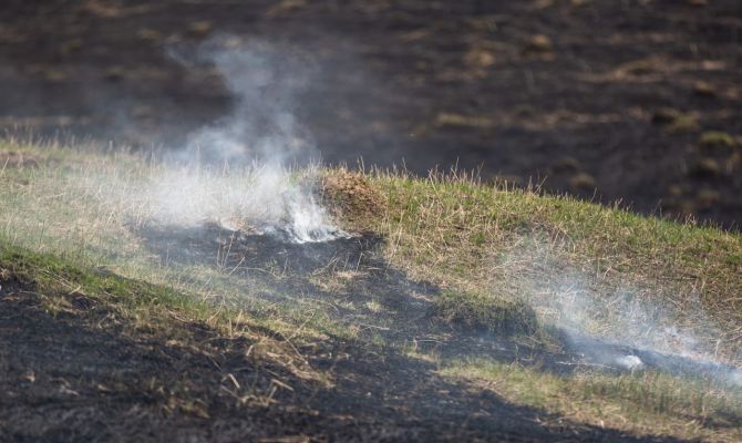 В Тульской области сохранится 5-й класс пожароопасности