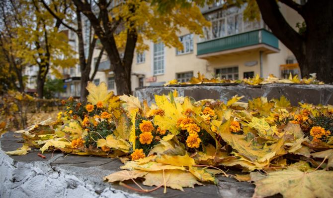 4 октября в Туле ожидается +12 градусов тепла