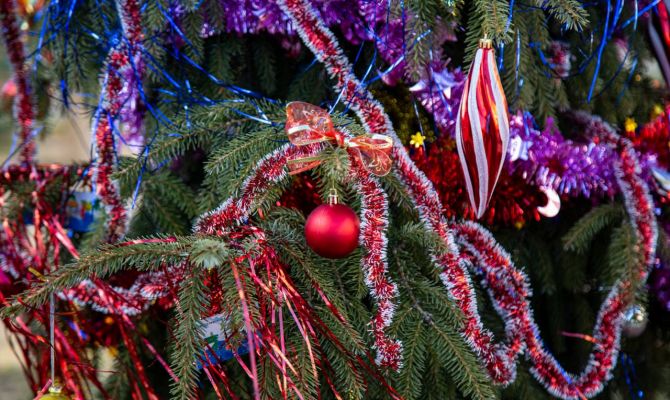 Тулякам объявили о начале акции «Экоёлка»