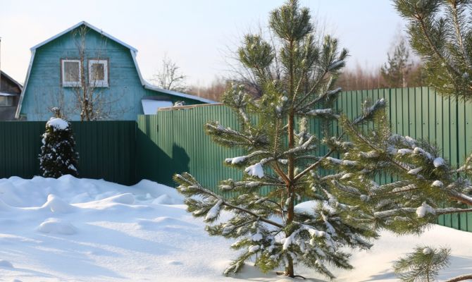 В России вырастет стоимость аренды госземли