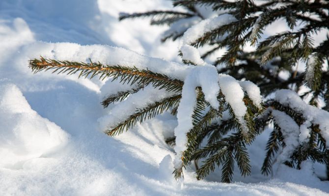 Ночью в Туле ожидается минусовая температура