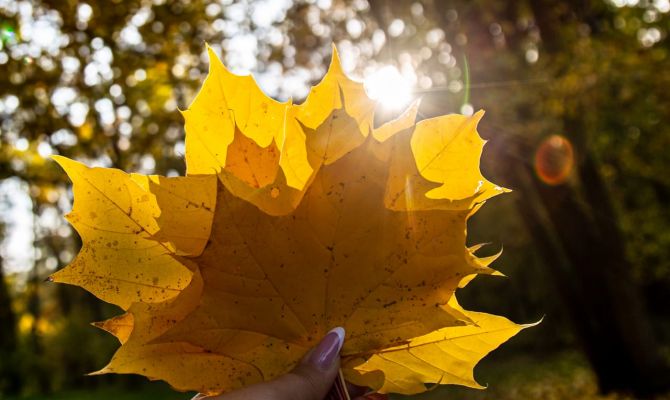 12 ноября в Туле ожидается +9 градусов тепла