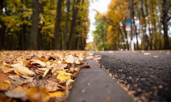 Ночью в Туле температура опустится до +10 градусов