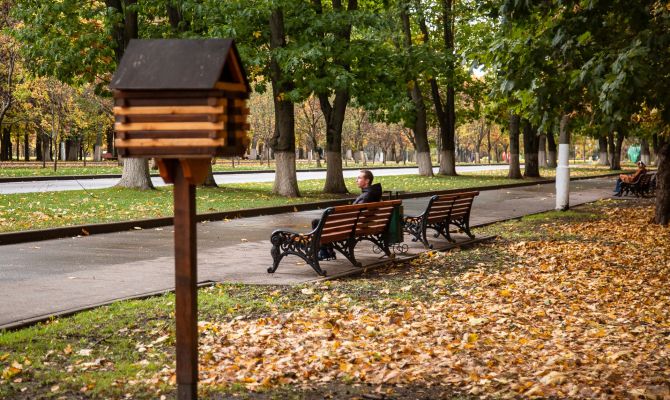 Ночью в Туле ожидается +9 градусов тепла
