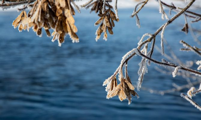 20 февраля в Туле будет повышенное атмосферное давление