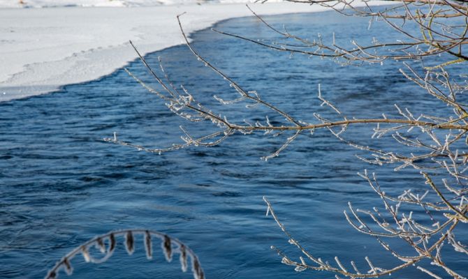 МегаФон установил систему мониторинга углеродных выбросов на Сахалине