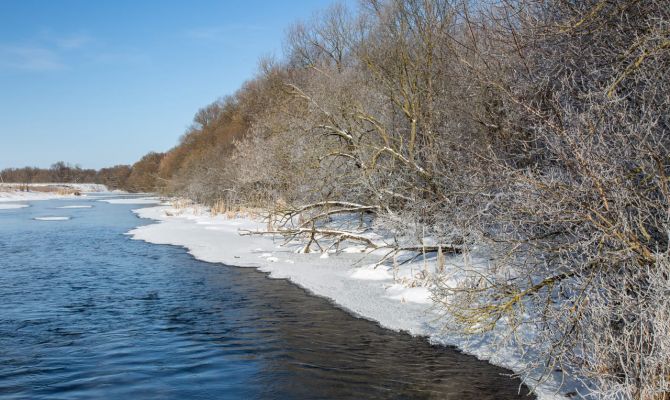 24 декабря в Туле ожидается -8 градусов