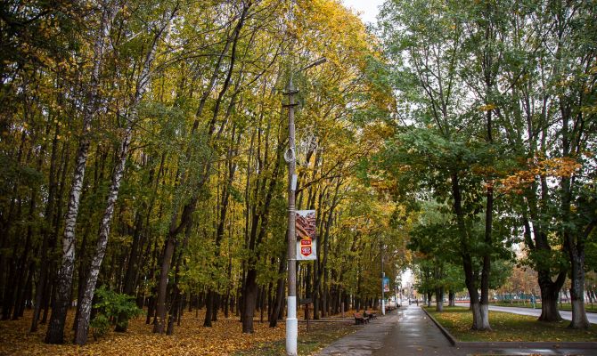 9 октября в Туле ожидается +20 градусов тепла
