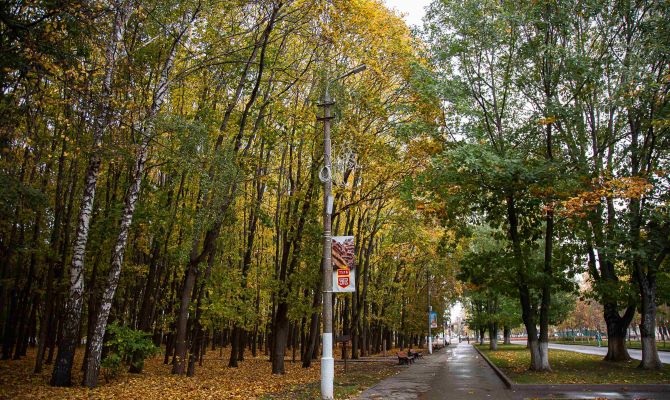 Ночью в Туле ожидается небольшой дождь