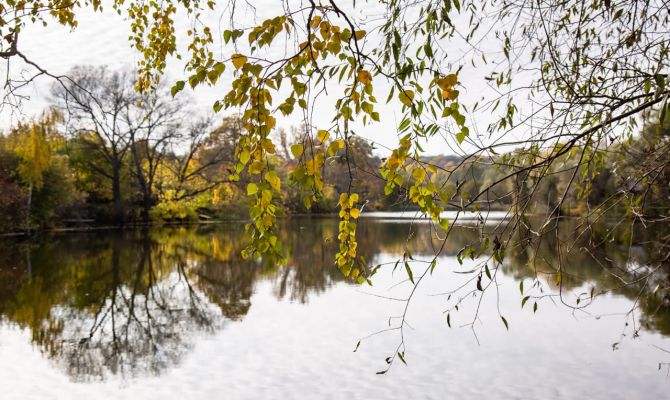 В ночь на 21 сентября в Тульской области будет до +10 градусов