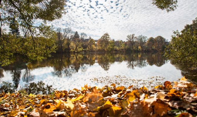 Ночью в Туле ожидается +7 градусов тепла