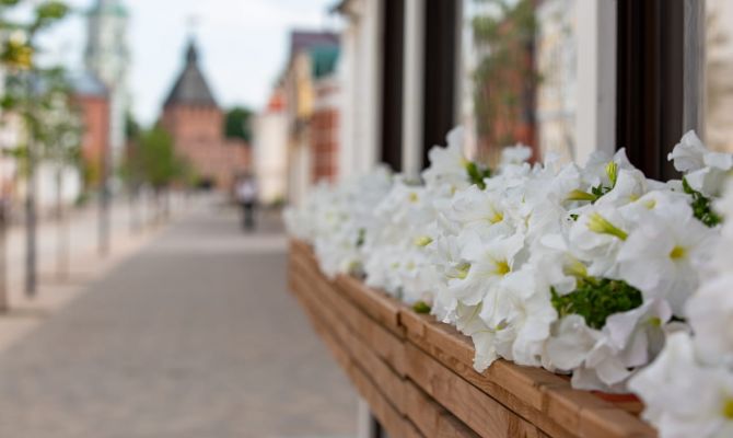 5 сентября в Тульской области будет до +23 градусов