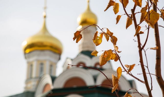 Ночью в Туле ожидается +16 градусов тепла