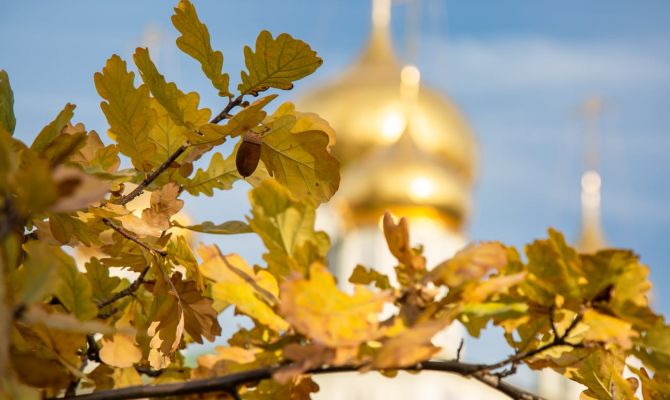 Ночью в Туле ожидается +9 градусов тепла
