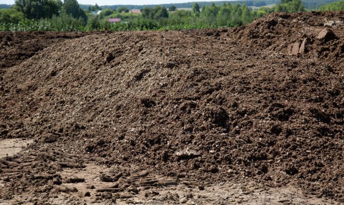 Рядом с тульским поселком появилась свалка куриного навоза размером с футбольное поле